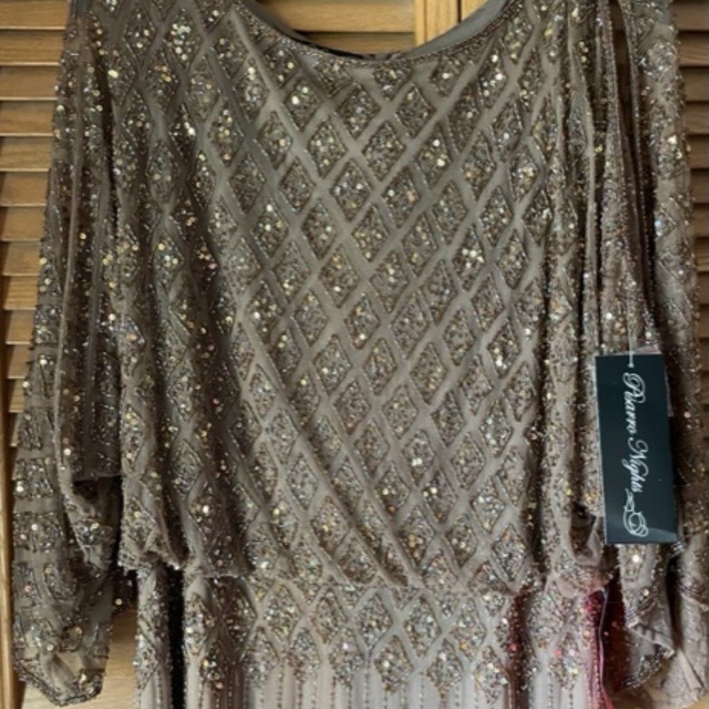 Pisarro nights, Women's formal dress size 12
